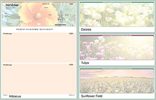 W Landscapechks4wil 4Web